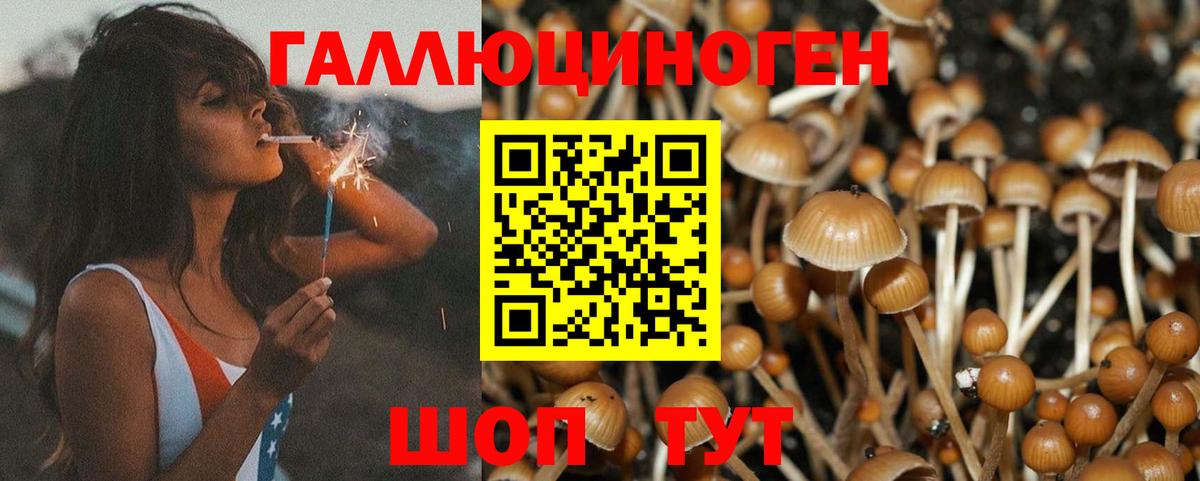 Ялуторовск  Галлюциногенные грибы GOLDEN TEACHER  Вход с VPN 
